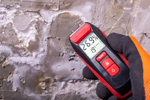 Best Crawl Space Mold Removal  in North Falmouth, MA