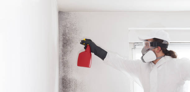 Attic Mold Removal in North Falmouth, MA